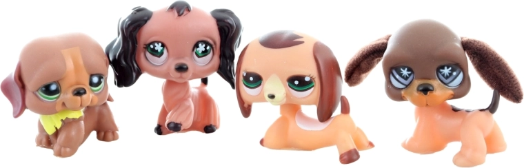 Roztomilé zvířátko připravené k péči