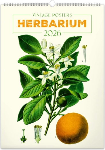 Nástěnný kalendář Vintage plakáty Herbář 2026