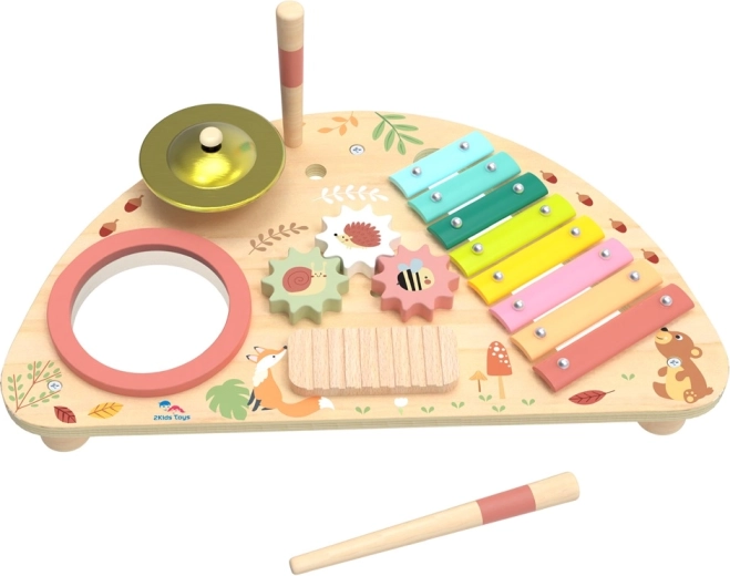 2Kids Toys multifunkční hudební deska