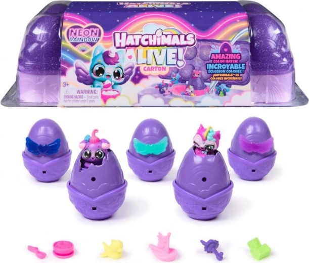 Hatchimals karton Neonová duha – neonová líheň se 5 vajíčky a figurkami