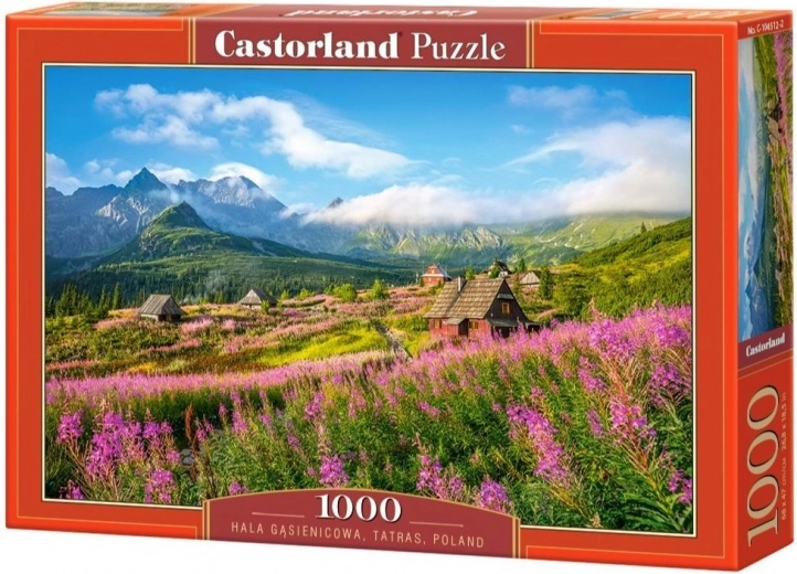 Puzzle 1000 dílků Hala Gąsienicowa, Tatry, Polsko