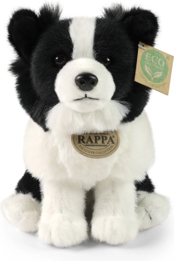 Realistické detaily border kolie