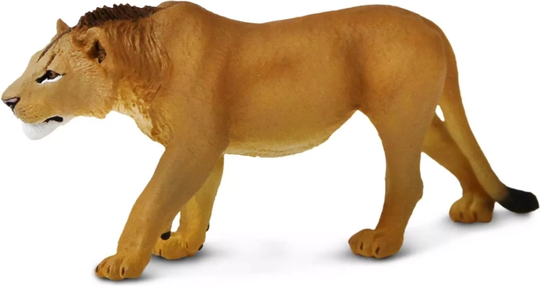 Safari Ltd. figurka dospívajícího lva - 1 kus