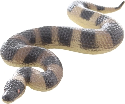 Kompaktní rozměry pro malé průzkumníky