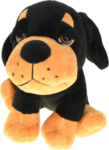 Více barevných variant