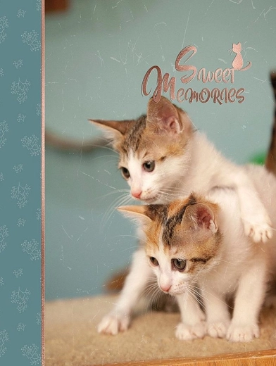 Fotoalbum CONCORDE DXP 4696 pro 96 fotografií 10 × 15 cm