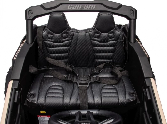 Dvojité sedadlo a bezpečnostní pásy