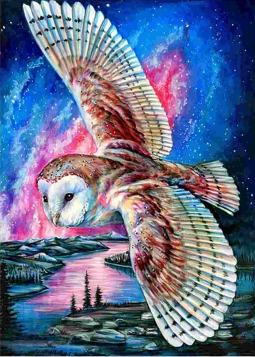 Norimpex diamantové malování Letící sova 30 × 40 cm