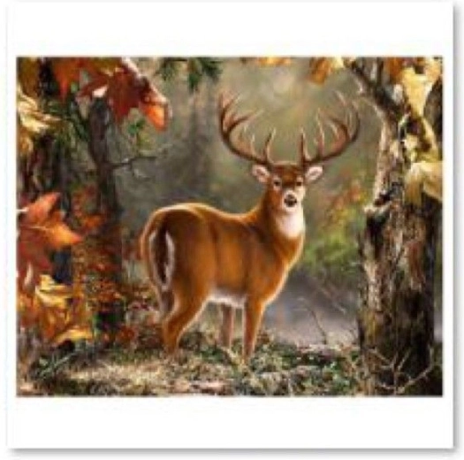 Diamantové malování (diamond painting) – dostojný jelen 40 × 30 cm