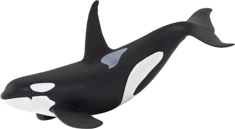 Figurka kosatky Safari Ltd.
