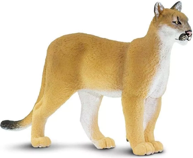 Figurka puma floridská Safari Ltd. - 1 kus