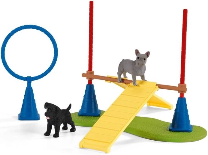 Psí agility plná zábavy