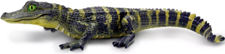 Safari Ltd. figurka mládě aligátora