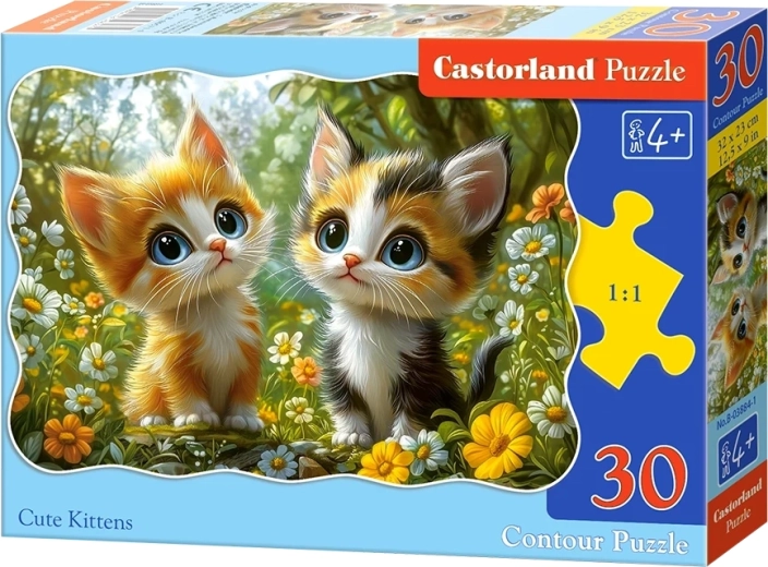 Puzzle Roztomilá koťátka 30 dílků