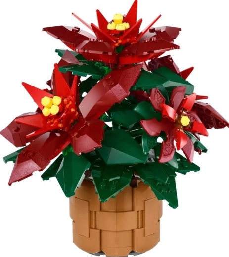Detailní poinsettie Grande Italia v pleteném květináči