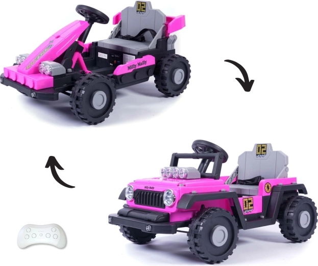 2v1: formule i terénní auto