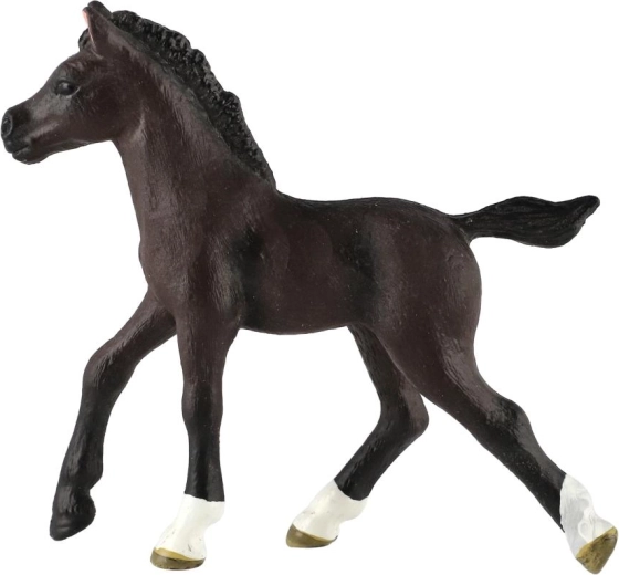 Realistické zpracování hříběte