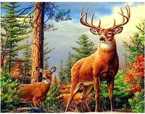 Norimpex diamantové malování jelen v horách 30 × 40 cm