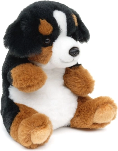 Bezpečné od narození