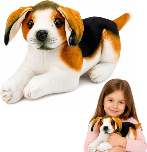 Plyšový pejsek beagle 25 cm