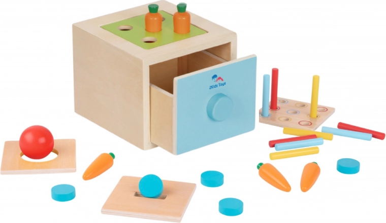 2Kids Toys Dřevěná multifunkční vhazovací hračka