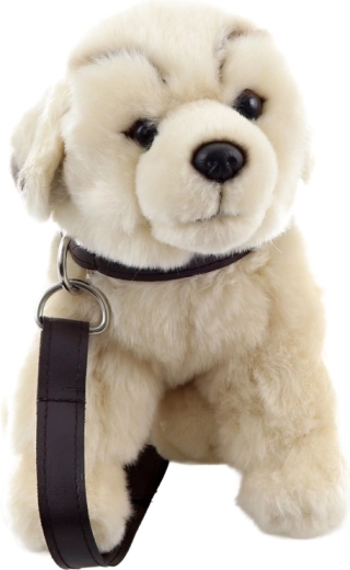 Hra na venčení díky obojku a vodítku