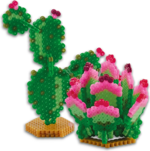 3D efekt pro působivé kaktusy a sukulenty