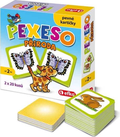 Efko baby pexeso dopravní prostředky