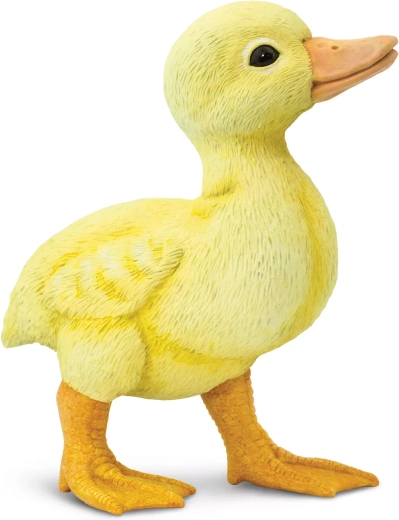 Safari Ltd. kachňátko - 1 kus