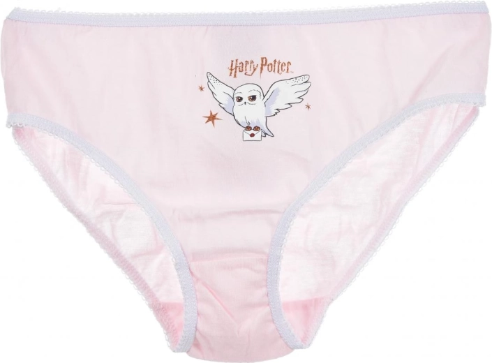 Licencovaný motiv Harry Potter