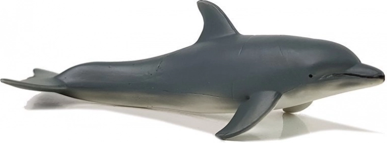 Ideální pro vzdělávací hry