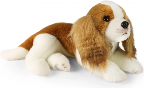 Plyšový pes Kavalír King Charles Španěl 40 cm od RAPPA