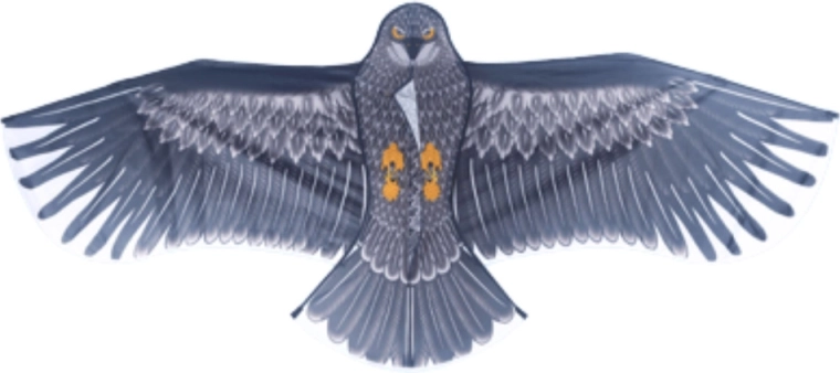 Realistický design orla