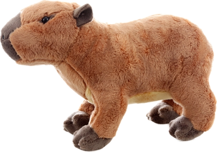 Bezpečné už od narození