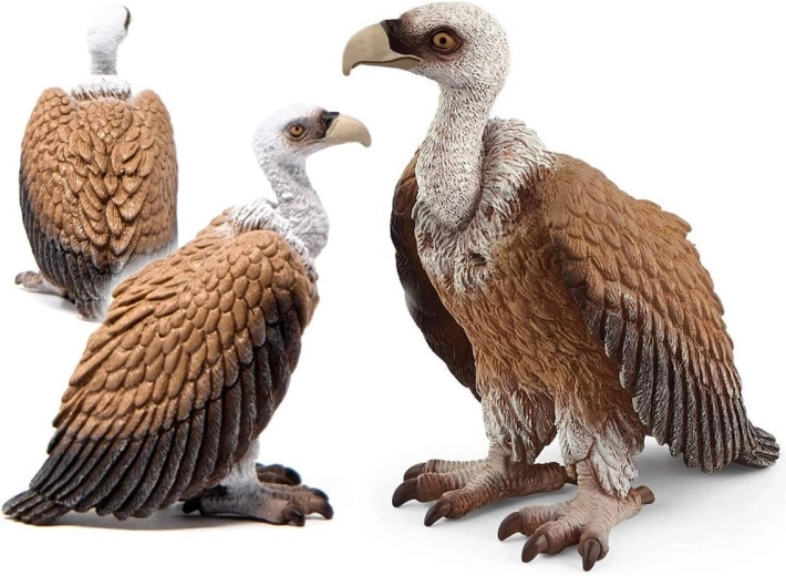 Schleich sup bělohlavý – figurka Wild Life