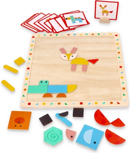 Vzdělávací karty a magnetické tvary