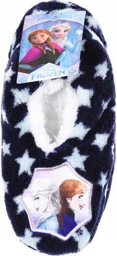 Oblíbený motiv Disney Frozen