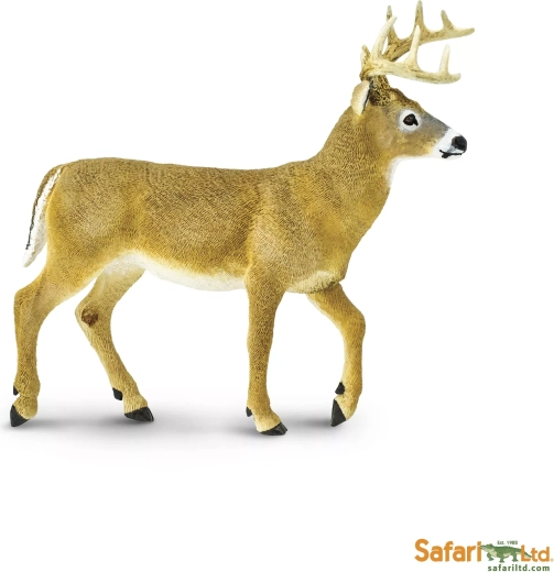 Jelenec běloocasý Safari Ltd.