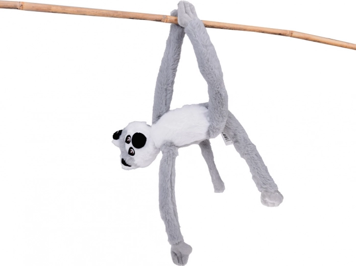 Lemur, který „leze“ a visí jako v přírodě