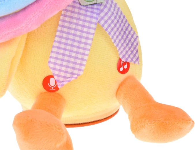 Nahrávání a opakování hlasu