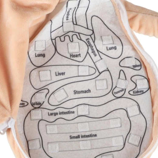 Otevírací bříško na zip s přehledným rozvržením