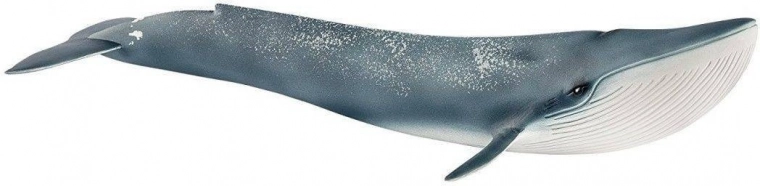 Schleich 14806 Velryba Modrá