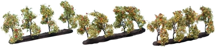 Noch jabloň s plody 3,5 cm (12 ks)