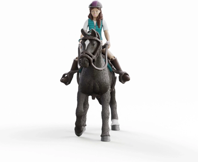 Detailně zpracovaný hannoverský valach