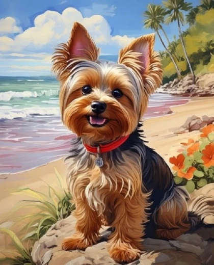 Norimpex Malování podle čísel Yorkshire na pláži 40 × 50 cm