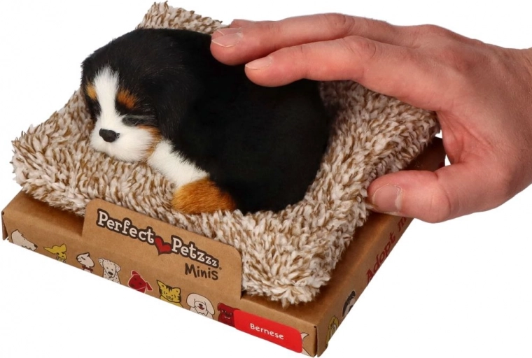 Perfect Petzzz malý bernský salašnický pes na pelíšku