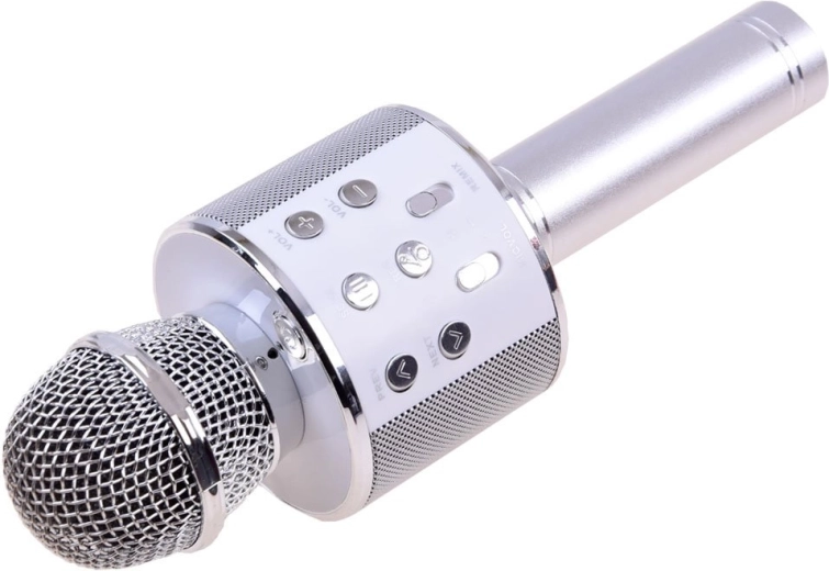 Modulace hlasu a echo pro karaoke efekt