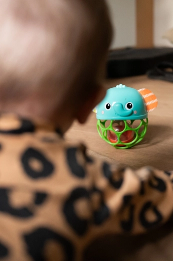 Světýlka a chichotání pro smyslovou zábavu