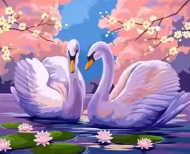 Malování podle čísel labutě 40 × 50 cm