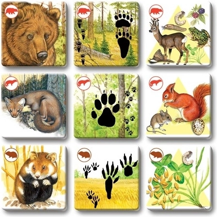 Krásné ilustrace, které zaujmou